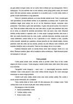 Referāts 'Diplomātiskais protokols', 6.