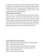 Referāts 'Futbols', 2.