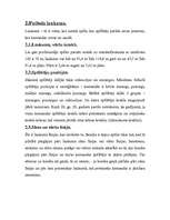 Referāts 'Futbols', 4.