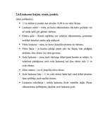 Referāts 'Futbols', 5.