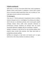 Referāts 'Futbols', 6.