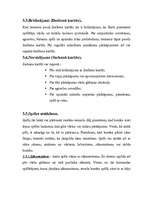 Referāts 'Futbols', 8.