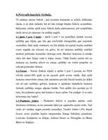 Referāts 'Futbols', 11.