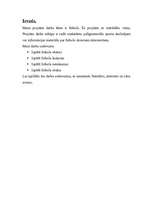 Referāts 'Futbols', 12.