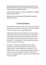 Referāts 'Muskulatūra', 15.