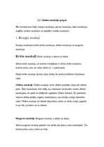 Referāts 'Muskulatūra', 18.