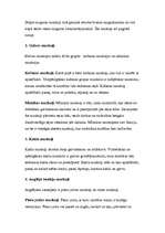 Referāts 'Muskulatūra', 19.