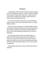 Referāts 'Muskulatūra', 27.