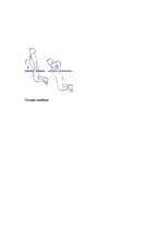 Referāts 'Muskulatūra', 31.