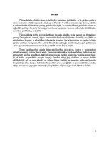 Referāts 'Insulīna sūknis', 3.