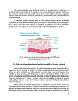Referāts 'Insulīna sūknis', 9.