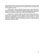 Referāts 'Insulīna sūknis', 10.