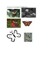 Konspekts 'Tauriņi', 4.