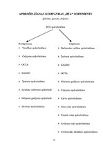 Referāts 'Tirdzniecības darba organizācija apdrošināšanas kompānijā "BTA"', 10.