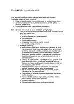 Eseja 'Cenu politika manā darba vietā', 1.