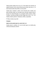 Konspekts 'Ātrums dabas procesos', 2.