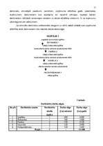 Biznesa plāns 'Kafejnīca "Rāte"', 17.