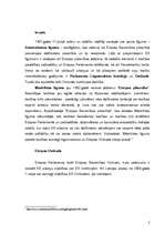 Referāts 'Eiropas ombuds', 2.