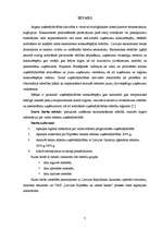 Referāts 'Valsts atbalsts uzņēmējdarbībā', 7.