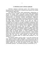 Referāts 'Ražošanas uzņēmuma struktūras pilnveidošana', 4.