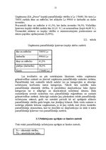 Referāts 'Ražošanas uzņēmuma struktūras pilnveidošana', 21.