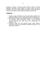 Referāts 'Ražošanas uzņēmuma struktūras pilnveidošana', 31.