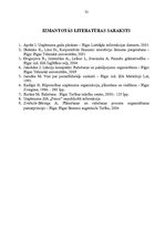 Referāts 'Ražošanas uzņēmuma struktūras pilnveidošana', 32.