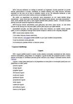 Konspekts 'Eksāmena jautājumi komerctiesībās', 23.