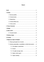 Referāts 'Japāņu doramas kā Rietumu kultūras cilvēka stereotipu pētīšanas avots', 2.