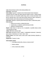 Referāts 'Japāņu doramas kā Rietumu kultūras cilvēka stereotipu pētīšanas avots', 27.