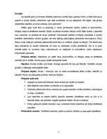 Referāts 'Bailes un fobijas', 2.