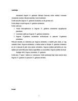 Referāts 'Arhitektūra Jelgavā 20.gadsimtā', 1.