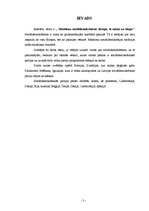 Referāts 'Mūsdienu sociāldemokrātisms Eiropā, tā mērķi un idejas', 3.