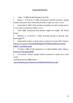 Referāts 'Personu ar garīga rakstura traucējumiem integrācija sabiedrībā', 19.