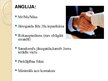 Prezentācija 'Biznesa starpkultūru komunikācija Anglijā un Vācijā', 3.
