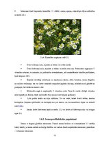 Diplomdarbs 'Saaukstēšanās slimības un to profilakse', 12.