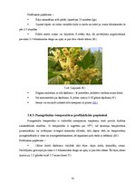 Diplomdarbs 'Saaukstēšanās slimības un to profilakse', 13.