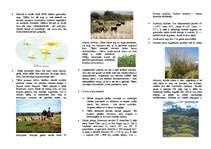 Konspekts 'Pampa', 1.