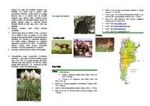 Konspekts 'Pampa', 2.