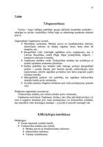 Referāts 'Tirgus analīze', 25.