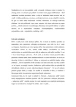 Konspekts 'G.Zimmels "Saskarsmes spēle"', 9.