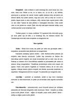 Referāts 'Cilvēku rases', 2.