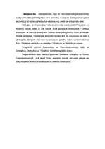 Referāts 'Cilvēku rases', 3.