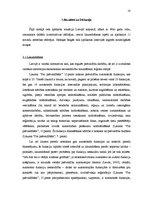 Referāts 'Administratīvi teritoriālās reformas vide', 18.