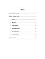 Referāts 'Karenas Hornejas biogrāfijas ietekme uz viņas radīto personības teoriju', 1.