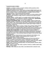 Referāts 'Alkohola lietošanas dominējošo motīvu atšķirības', 40.