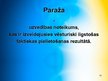 Prezentācija 'Policijas tiesību avoti', 15.