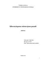 Referāts 'Kibernoziegumu raksturojums pasaulē', 3.