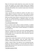Konspekts 'Pilnvara vadīt automašīnu un šķērsot ar to robežu', 9.