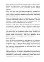 Konspekts 'Pilnvara vadīt automašīnu un šķērsot ar to robežu', 15.